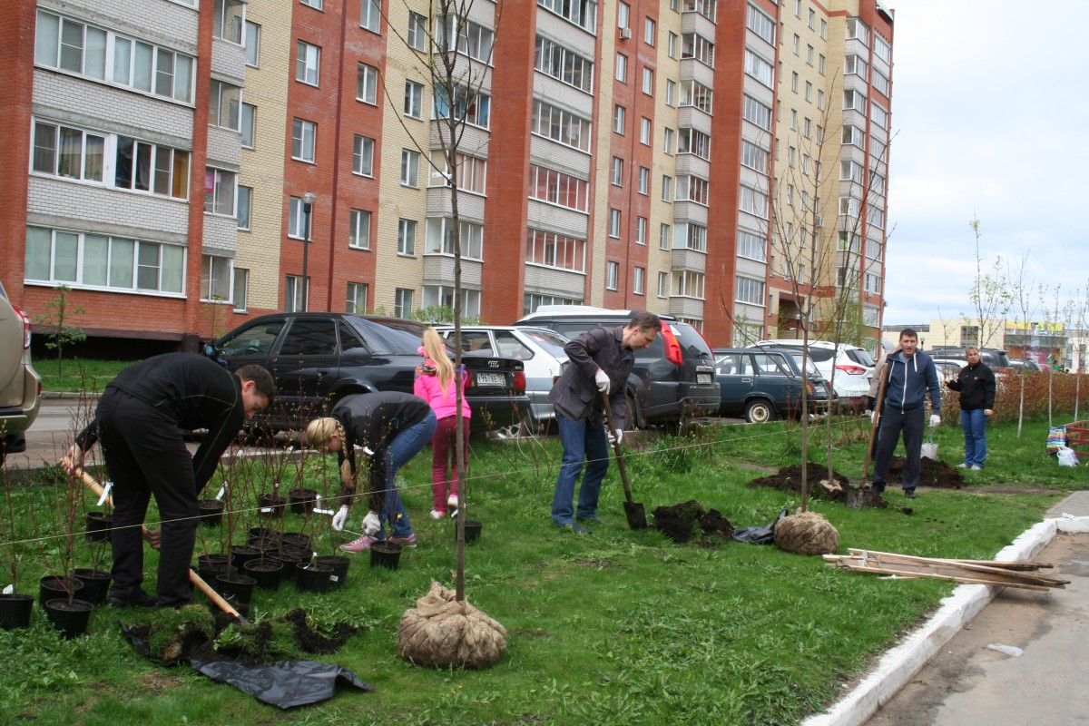 Что входит в данную услугу?